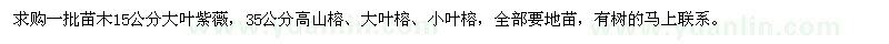 求購(gòu)大葉紫薇,高山榕,大葉榕,小葉榕