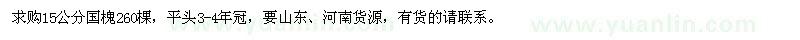 求購15公分國槐
