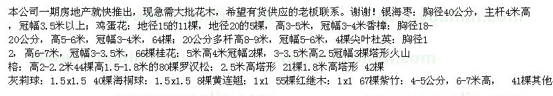 求購雞蛋花　銀海棗　香樟　桂花等大批苗木