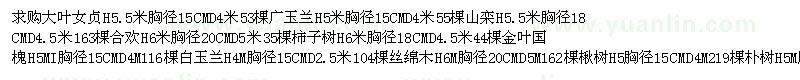 求購 大葉女貞廣玉蘭等