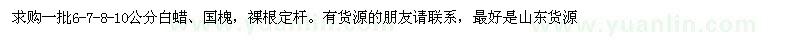 求購白蠟、國槐一批6-7-8-10公分
