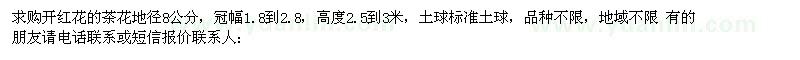 求購(gòu)開紅花的茶花