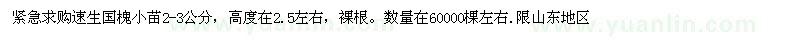 求購速生國槐小苗2-3公分