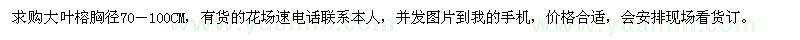 求購(gòu)大葉榕胸徑70－100CM
