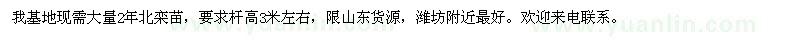 求購2年北欒苗