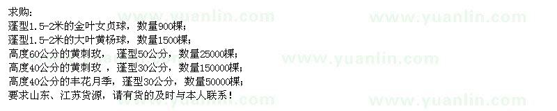 求購(gòu)金葉女貞球、大葉黃楊球、黃刺、金葉女貞等苗木