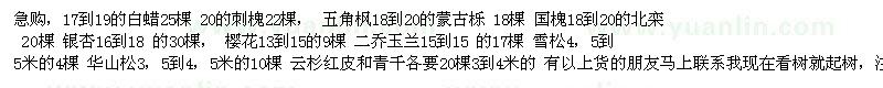 求購白蠟、刺槐、五角楓、國槐