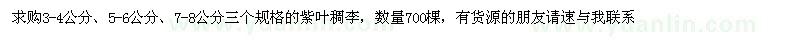 求購紫葉稠李700棵