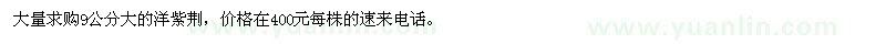 求購9公分大的洋紫荊