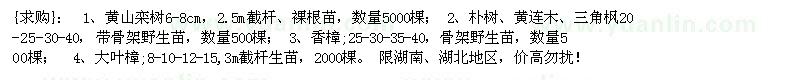 求購黃山欒樹 樸樹、黃連木、三角楓