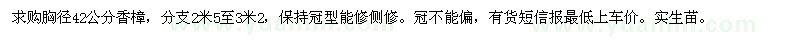 求購(gòu)胸徑42公分香樟