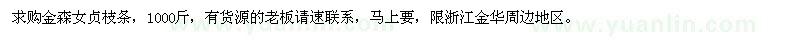 求購金森女貞枝條