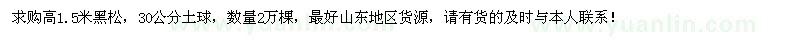 求購(gòu)高1.5米黑松2萬棵