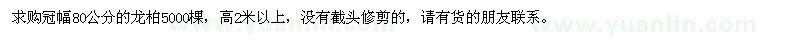 求購冠幅80公分的龍柏5000棵