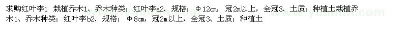 求購(gòu)紅葉李