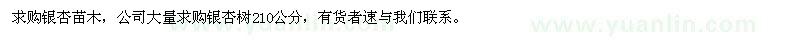 求購銀杏苗木2-10公分