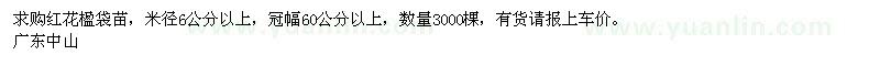 求購紅花楹袋苗，米徑6公分以上