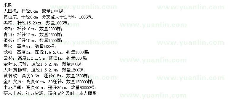 求購大國槐、黑松、法桐、青桐、銀杏等苗木