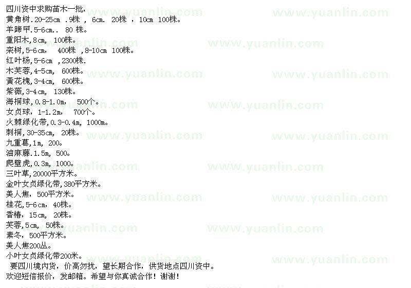 求購黃角樹 羊蹄曱 欒樹 
