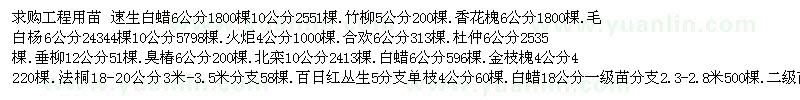 求購速生白蠟 竹柳 毛白楊等工程用苗