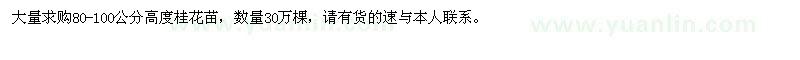 求購高80-100公分桂花苗30萬棵