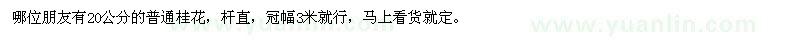求購20公分的普通桂花，桿直