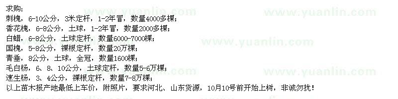 求購(gòu)刺槐、香花槐、白蠟、國(guó)槐、青垂等苗木