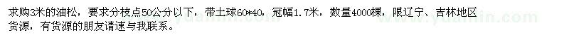 求購3米的油松