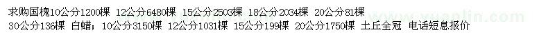 求購國槐10公分/12公分/15公分/18公分