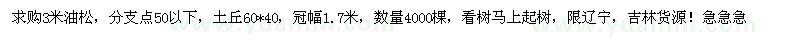 求購3米油松，分支點50以下 