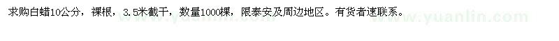 求購白蠟10公分 