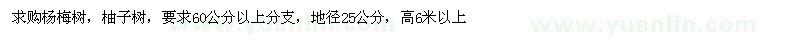 求購楊梅樹，柚子樹