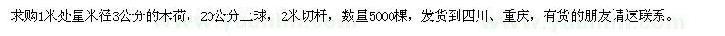 求購米徑3公分木荷5000棵