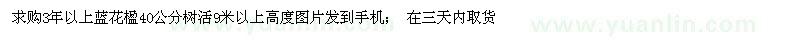 求購3年以上藍(lán)花楹