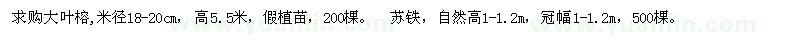 求購大葉榕、蘇鐵