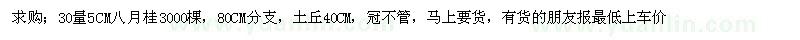 求購30量5CM八月桂