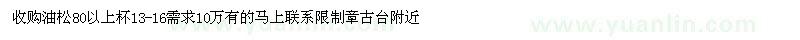 求購(gòu)油松80以上杯13-16需求10萬(wàn)