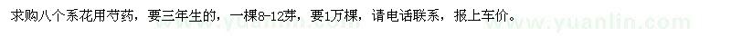 求購八個系花用芍藥1萬棵