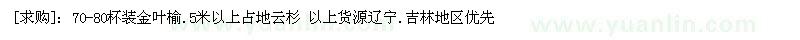求購杯裝金葉榆 占地云杉