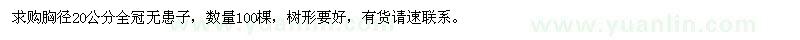求購(gòu)20公分無(wú)患子