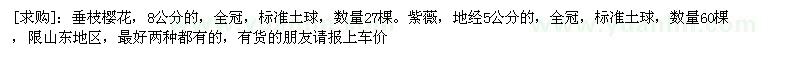 求購垂枝櫻花 數(shù)量27棵。紫薇 數(shù)量60棵