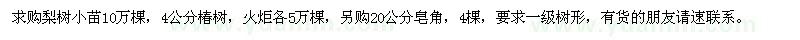 求購(gòu)梨樹、椿樹、火炬、皂角