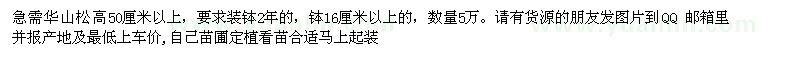 求購華山松高50厘米以上