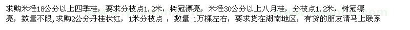 求購米徑18公分以上四季桂