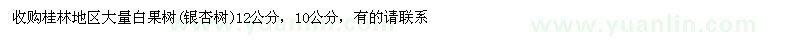 求購桂林地區(qū)大量白果樹(銀杏樹)12公分，10公分