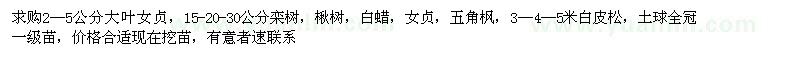 求購(gòu)大葉女貞　欒樹(shù)，楸樹(shù)，白蠟，女貞等