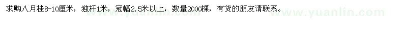 求購八月桂8-10厘米