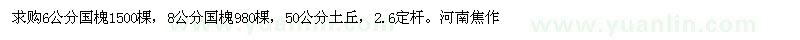 求購6公分，8公分國槐