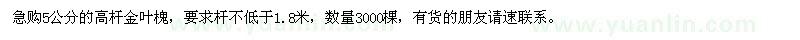 求購5公分的高桿金葉槐