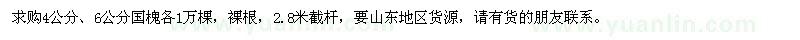 求購4公分、6公分國槐